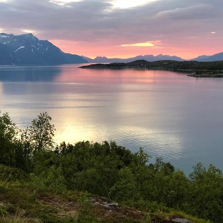 Aaroybukt Guesthouse Aroybukta Exteriér fotografie