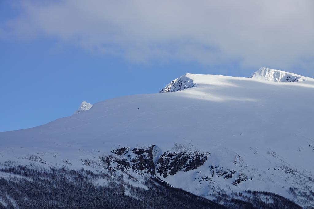 Aaroybukt Guesthouse Aroybukta Exteriér fotografie
