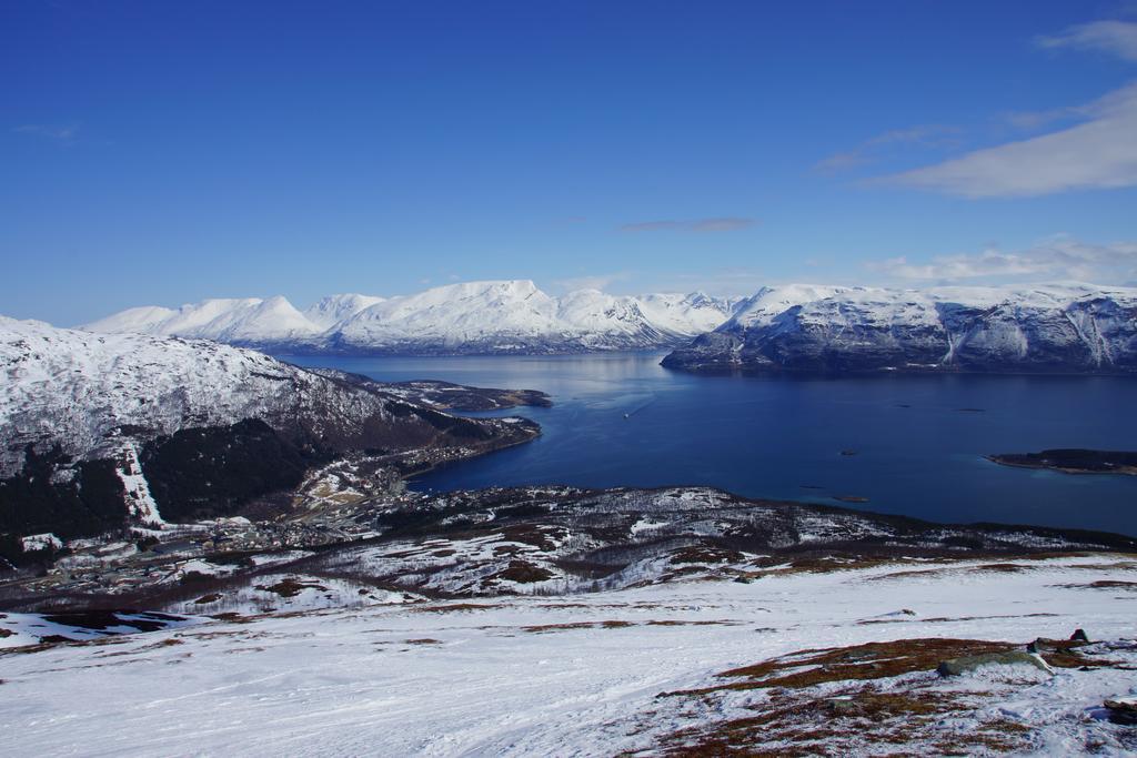 Aaroybukt Guesthouse Aroybukta Exteriér fotografie